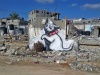 banksy, arte, artista, gaza, graffitti, compromiso, franja, gatos, guerra